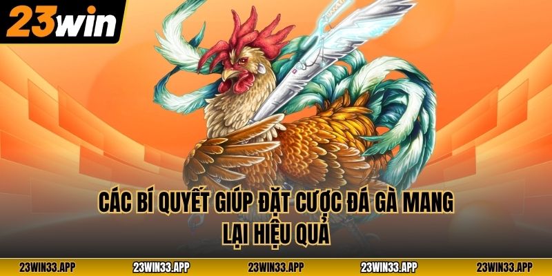 Các bí quyết giúp đặt cược đá gà mang lại hiệu quả