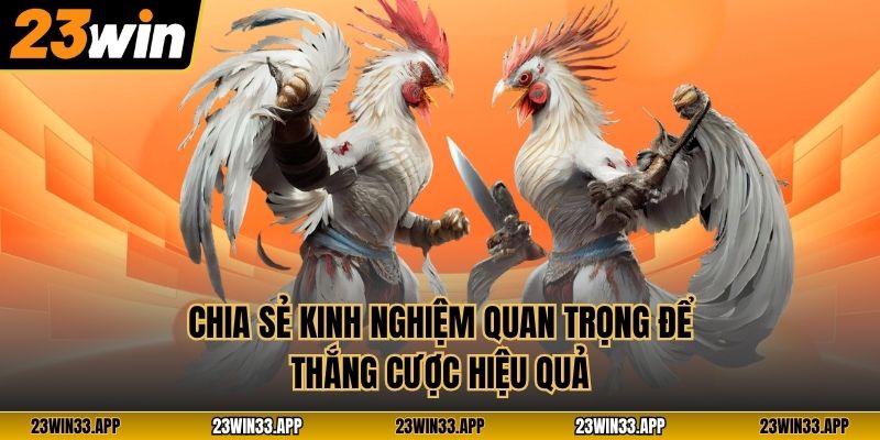 Chia sẻ kinh nghiệm quan trọng để thắng cược hiệu quả