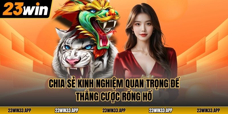 Chia sẻ kinh nghiệm quan trọng để thắng cược Rồng Hổ