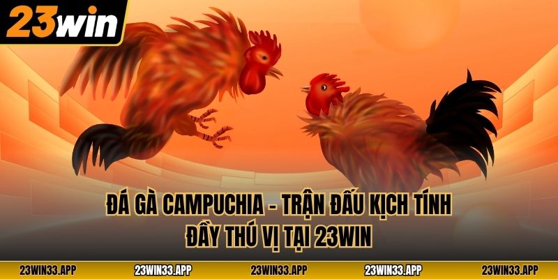 Đá Gà Campuchia – Trận Đấu Kịch Tính Đầy Thú Vị Tại 23Win
