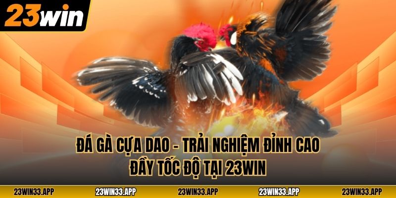 Đá Gà Cựa Dao – Trải Nghiệm Đỉnh Cao Đầy Tốc Độ Tại 23Win