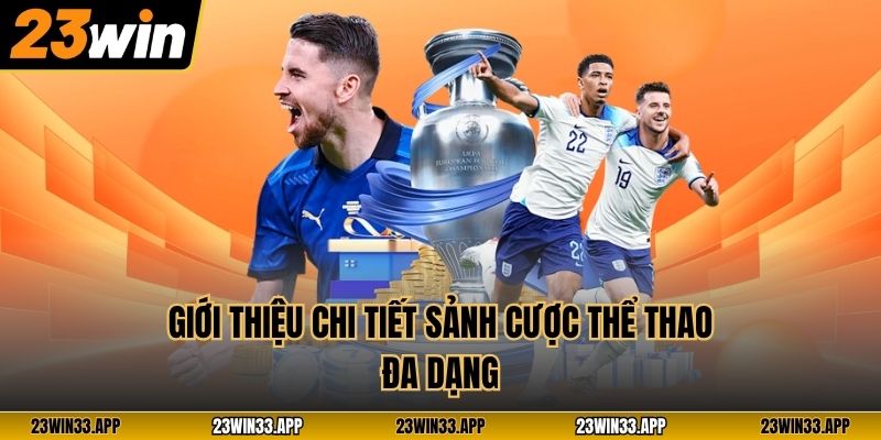 Giới thiệu chi tiết sảnh cược thể thao đa dạng