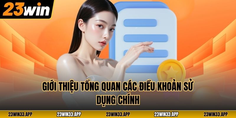 Giới thiệu tổng quan các điều khoản sử dụng chính