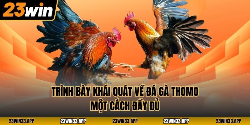 Trình bày khái quát về đá gà Thomo một cách đầy đủ